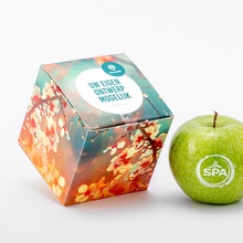 Appels in bedrukt doosje | All-over opdruk