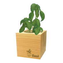 Ecocube | Plantje in houten kubus | 9380001 Hout